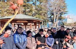 Akar ailesinin acı günü