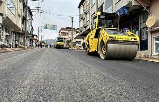 Akmeşe Menderes Caddesine estetik dokunuş
