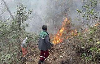 Alanya’da orman yangınında yaklaşık 10 dönüm...