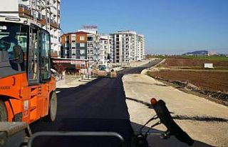 Altınşehir Mahallesi’nde asfalt çalışması