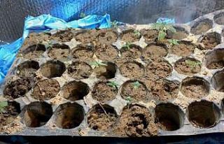 Alüminyum folyolu özel odada buhar makinesi ile...