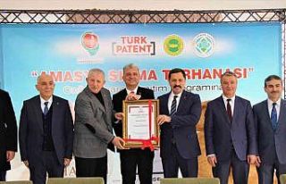 ’Amasya sıkma tarhanası’ tescillendi