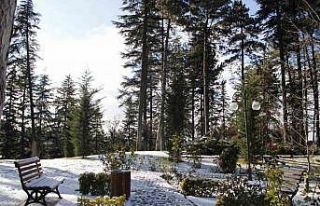 Anadolu Üniversitesi beyaza büründü