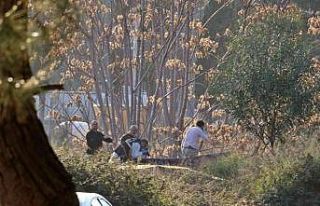 Antalya’da ormanlık alanda kafası ve kolları...