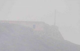 Araban’da sağanak yağış ve yoğun sis etkili...