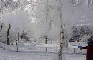 Ardahan’ın Göle ilçesi buz kesti: Eksi 28 dereceyle...