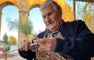 Aspendos Antik Kenti’nin su kemerleri yanında 63...