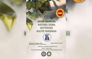 Aydın Memecik Naturel Sızma Zeytinyağı Kalite...