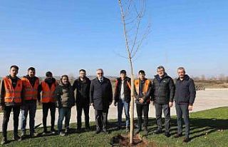 Bafra’da kökler toprakla buluşuyor
