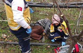 Bahçede çalışırken kalp krizine yenik düştü
