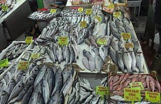 Balık tezgahları çinekop ile şenlendi