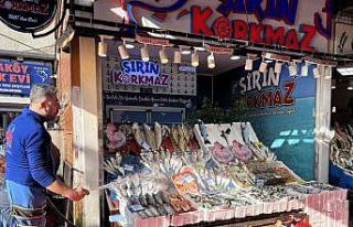 Balık tezgahlarında hamsi bolluğu yaşanıyor