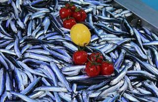 Balık tezgahlarında hamsinin ardından istavrit...