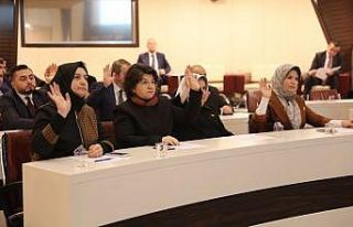 Başkan Çolakbayrakdar, yılın ilk meclisinde kentsel...