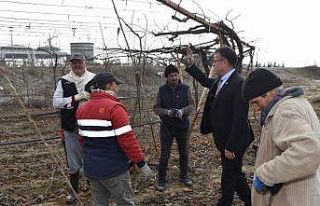 Başkan Öküzcüoğlu’ndan üzüm işçilerine...