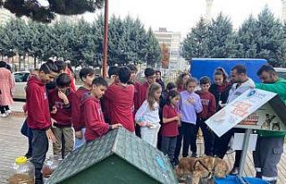 Başkan Sandıkçı: “Sokaktaki can dostlarımız...