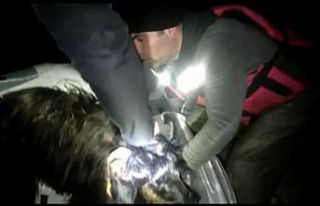 Batman’da nehre düşen keçilerin imdadına dalgıç...