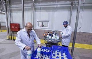 Bayındır Süt İşleme Fabrikasında test üretimi...
