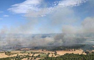 Bayramiç Orman İşletme Müdürlüğü’nden orman...