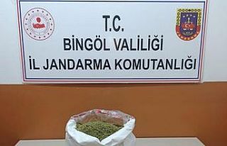 Bingöl’de uyuşturucu operasyonu: 3 tutuklama