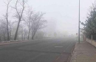 Bingöl’de yoğun sis etkili oldu