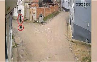 Bir köpeği daha vurmuş