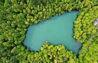 Bolu 1 milyon 22 bin 693 turisti ağırladı