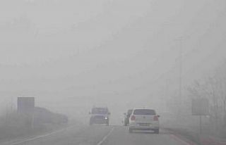 Bolu’da yoğun sis