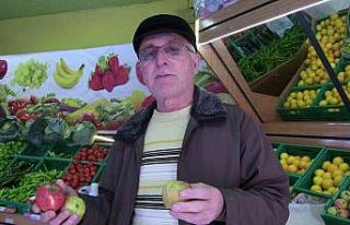 Borçka’nın Demir Elması coğrafi işaret tescil...