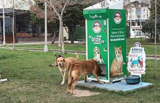 Bu otomat sokak hayvanlarının