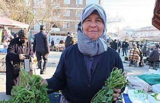 Burhaniye’de araziden toplanan otlar geçim kaynağı...