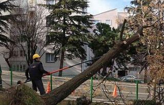 Bursa’da şiddetli lodosun etkisi sürüyor