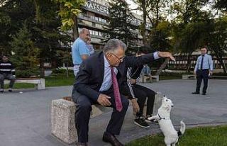 Büyükşehir, 1 Yılda 10 Bin Sokak Hayvanına Sahip...