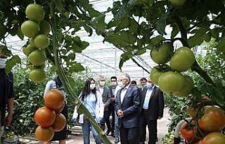 Büyükşehir, 1 yılda 13 milyon kilogram evsel atığı...