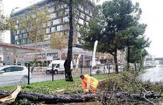 Büyükşehirin fırtına mesaisi