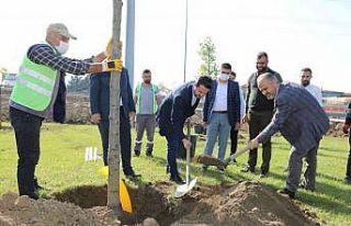Büyükşehir’le yeniden ‘Yeşil Bursa’