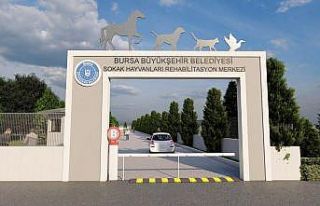 Can dostlara rehabilitasyon merkezi