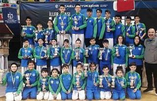 Çayırova Belediyesi Karate Takımı kupa ve madalyaları...