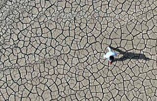 Çiftçilere ‘kuraklık’ uyarısında bulunularak...