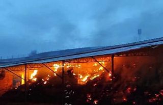 Çiftlikte çıkan yangında hayvanlar telef oldu