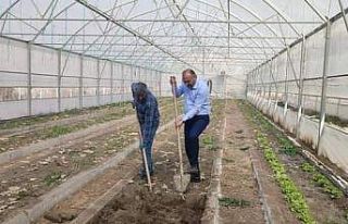 Çukurca Belediyesinin seralarında yeni ürünlerin...