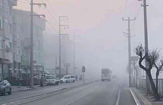 Darıca’da sis etkili oldu