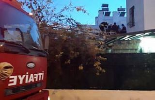 Dengesini kaybederek düşen elektrik ustası yaralandı