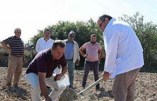 Denizli’de ‘Toprağını Tanı’ projesinde 1250...