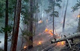 Denizli’deki orman yangını kontrol altına alındı