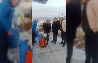 Didim’de deniz patlıcanı denetimi yapıldı