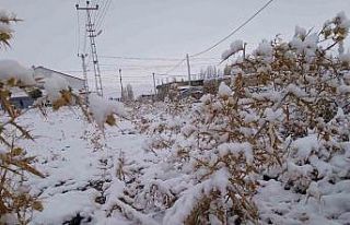 Diyadin’de kar yağışı