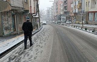 Diyarbakır kırsalı beyaza örtüyle kaplandı