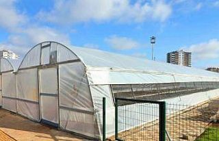 Diyarbakır’da organik sebze ve meyve üretimi başladı