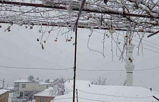 Diyarbakır’da yılın ilk karı her yeri beyaza...